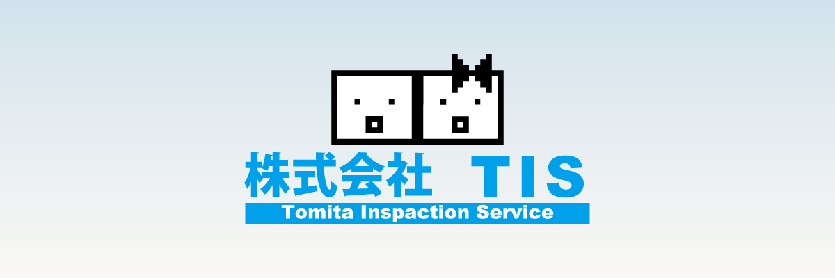 株式会社 TIS
